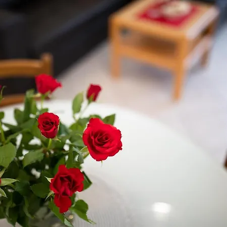 Apartament Dujmovic Ivo 1 *